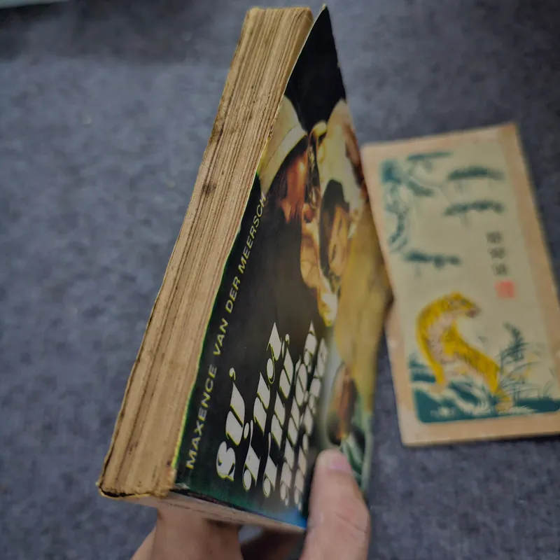 Sự tha thứ muộn màng - Maxence Van der Meersch 733977