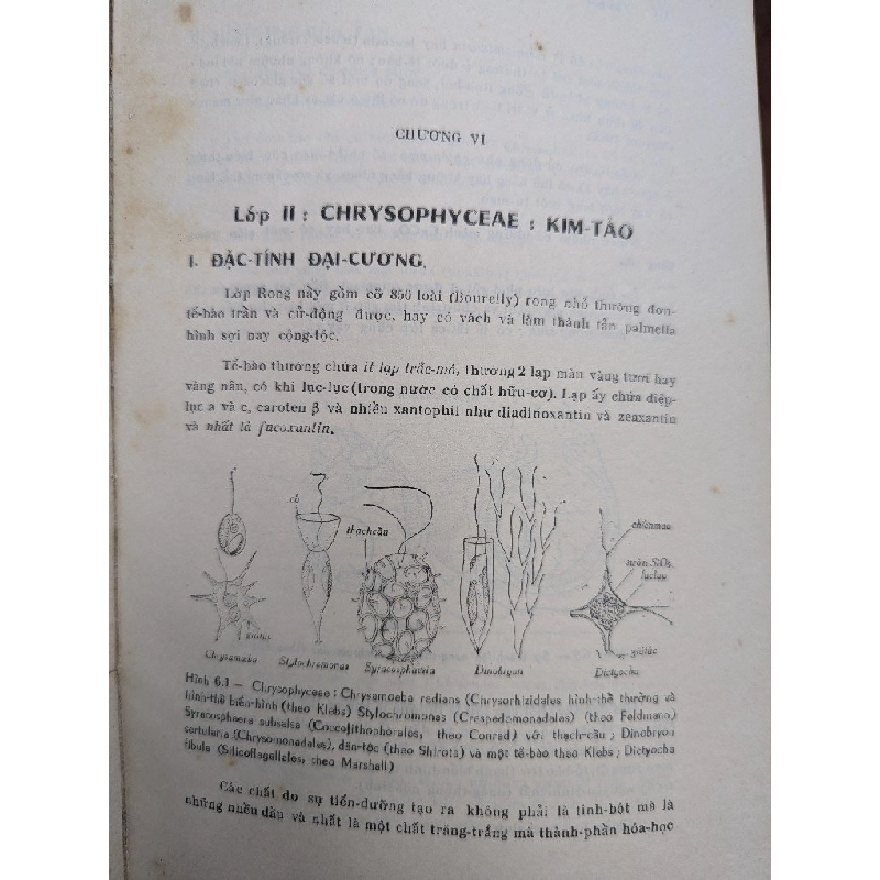 TẢO HỌC - PHẠM HOÀNG HỘ 191586