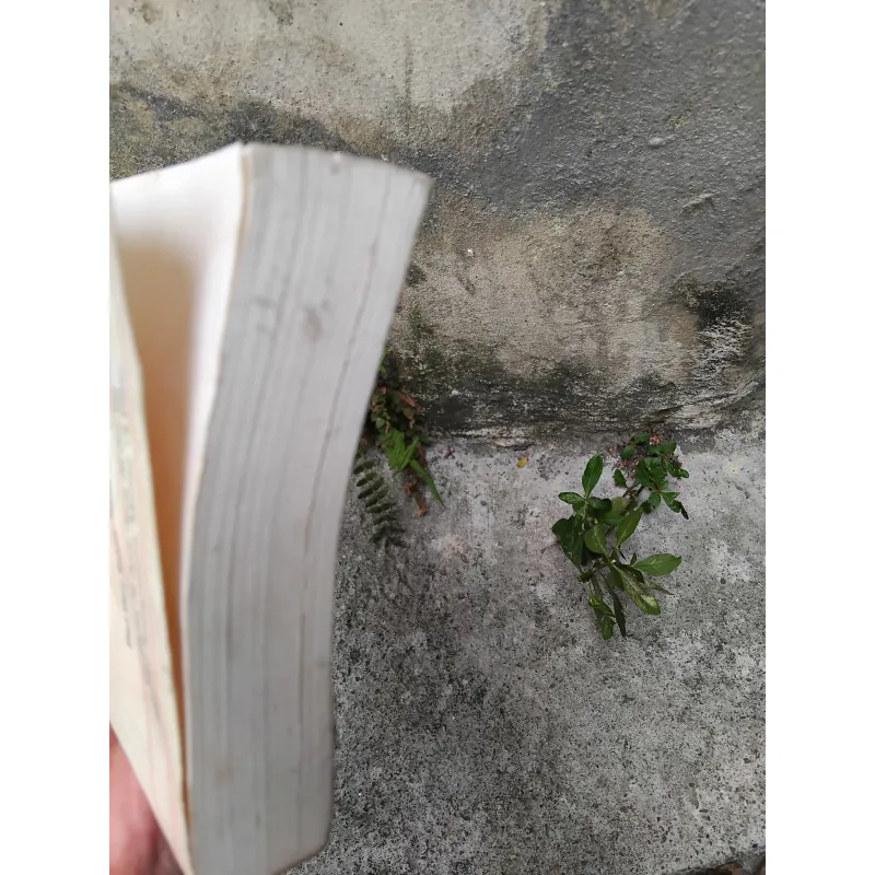 Từ điển thi ca Anh - Mỹ - Việt  1030155