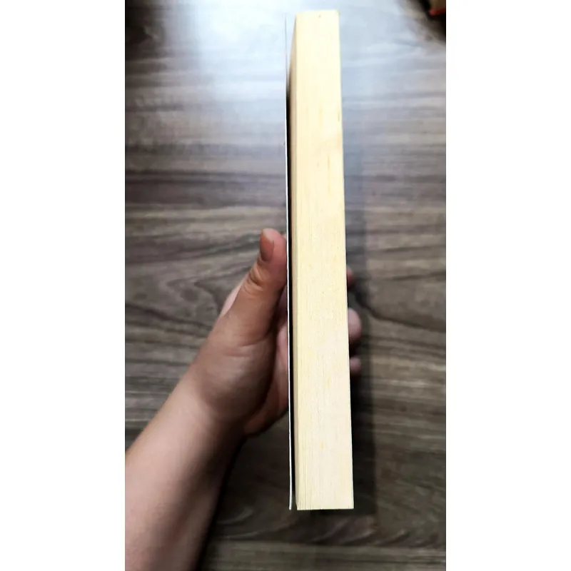 Pippa’s Cornish Dream
by Debbie Johnson (preloved book) 726598