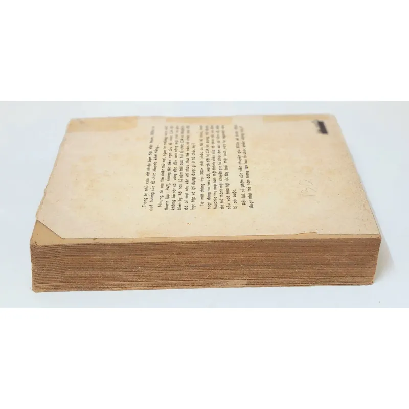 Tiểu thuyết VIÊN CHUYÊN GIA XIXIN (422 trang) 977450