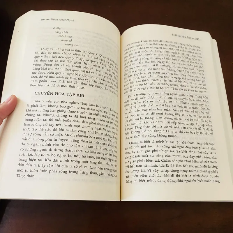 Trái tim của Bụt - Thích Nhất Hạnh  975937