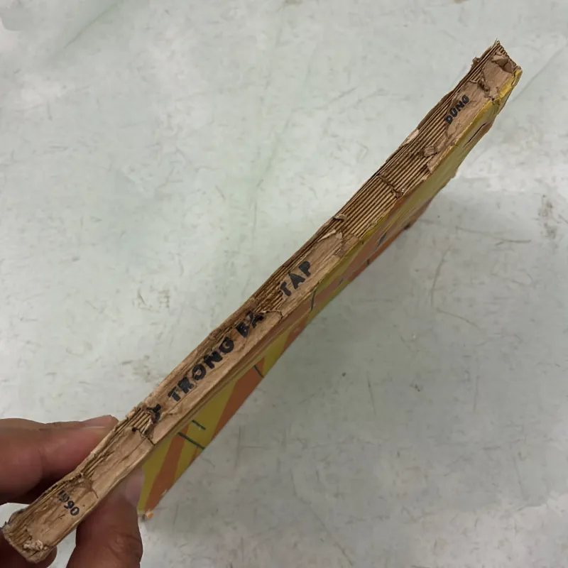 Từ trong bão táp - Văn Tiến Dũng - 1990s 997609