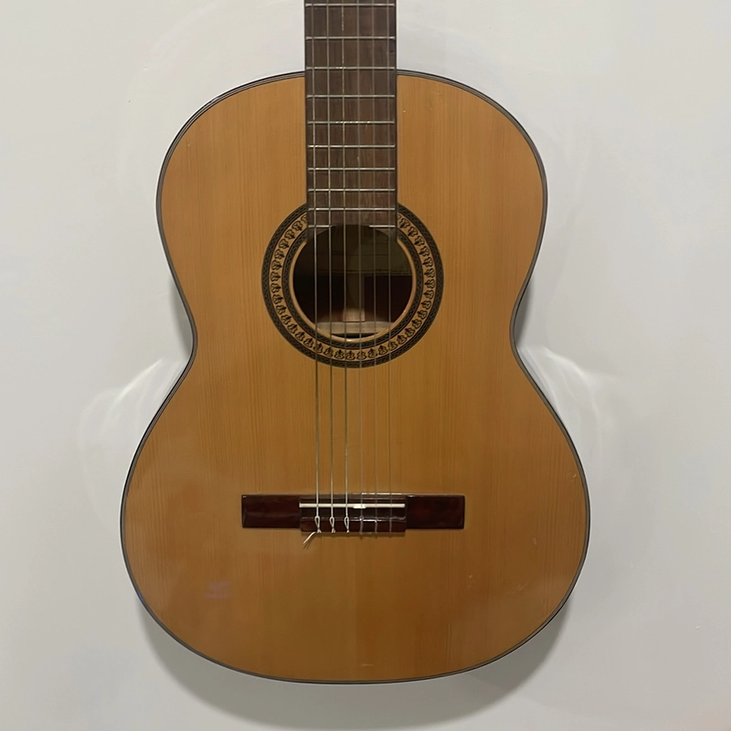 Đàn guitar thường RidgeWay model C6100 508030