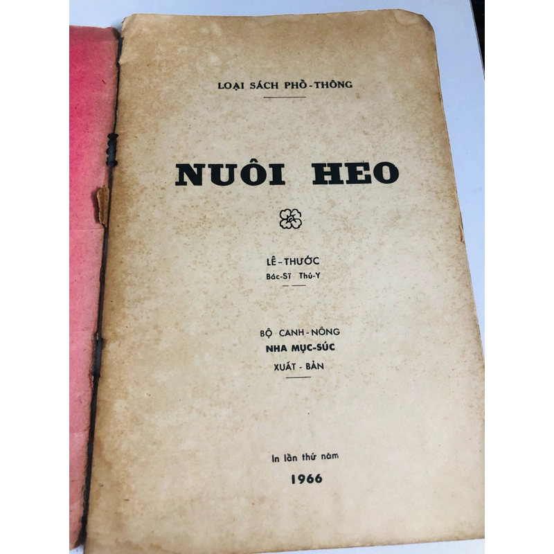 NUÔI HEO 1966 528074