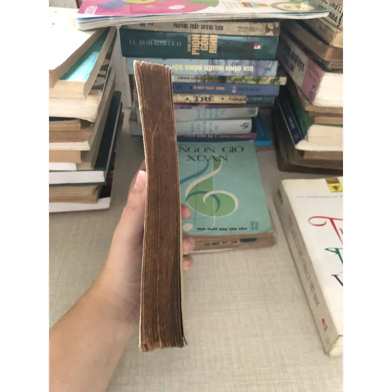 Kỷ niệm 600 năm sinh Nguyễn Trãi 960014