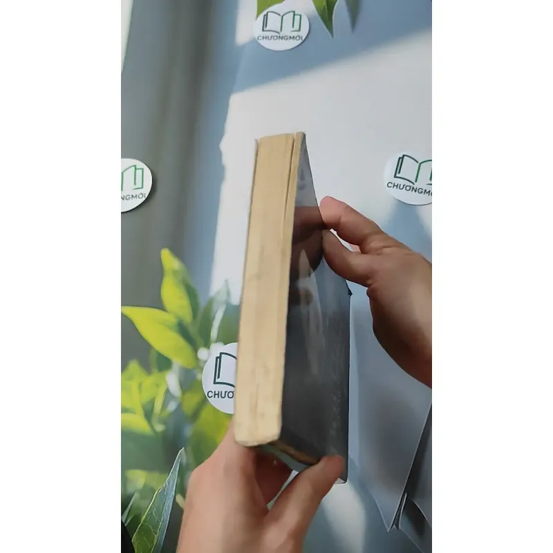 Bùi Thị Mè - Kể Chuyện Đời Mình - Bùi Thị Mè 928530