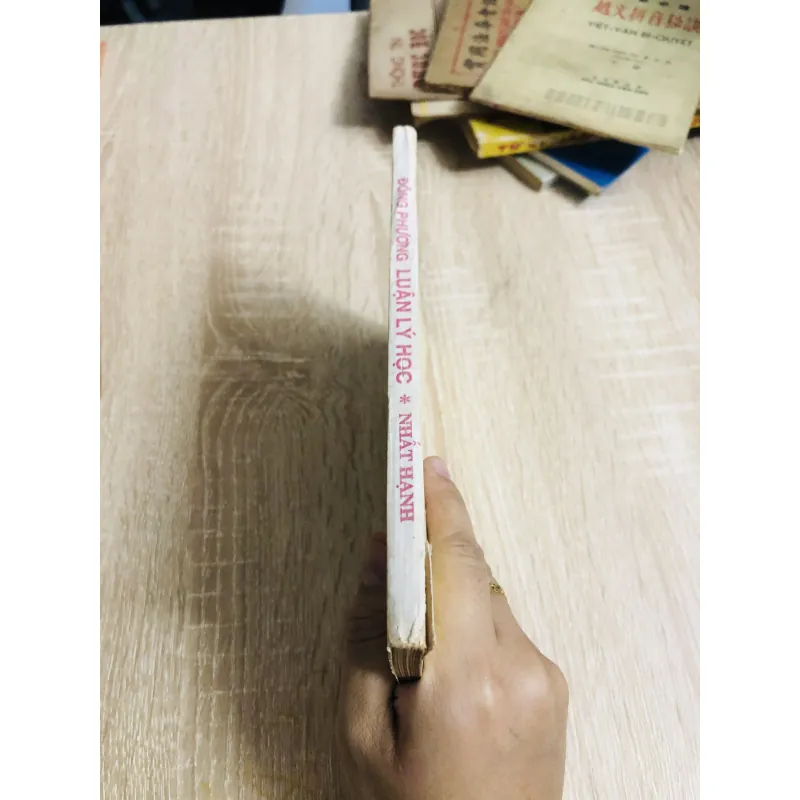 ĐÔNG PHƯƠNG LUẬN LÝ HỌC ( Nhất Hạnh) 925805