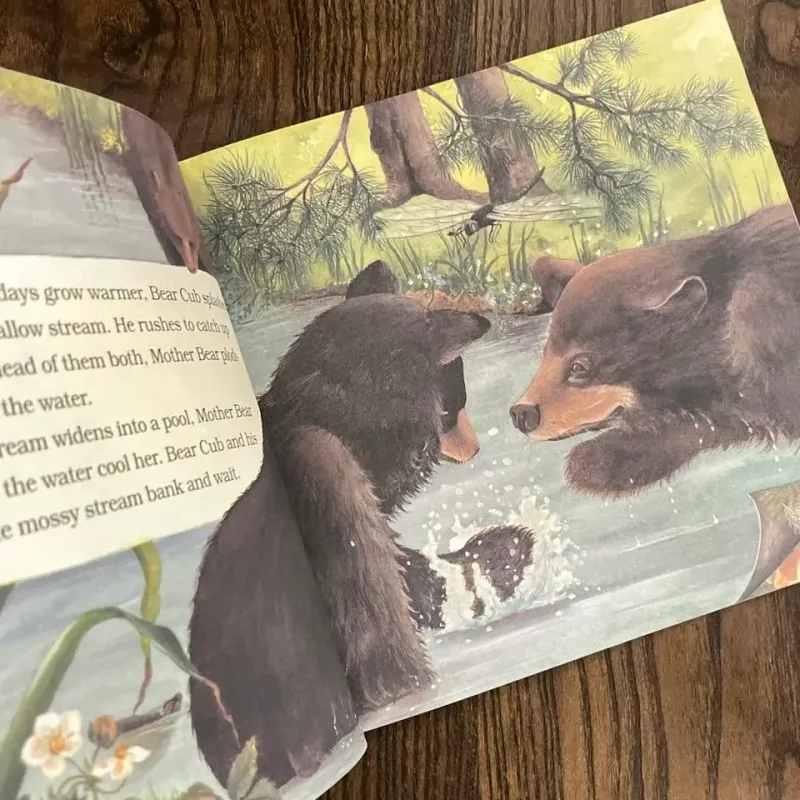 Black Bear Cub 974762