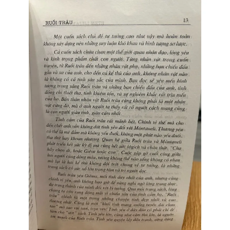 Ruồi trâu – Eten Li-Li-An Voi-Nit-Sơ 568115