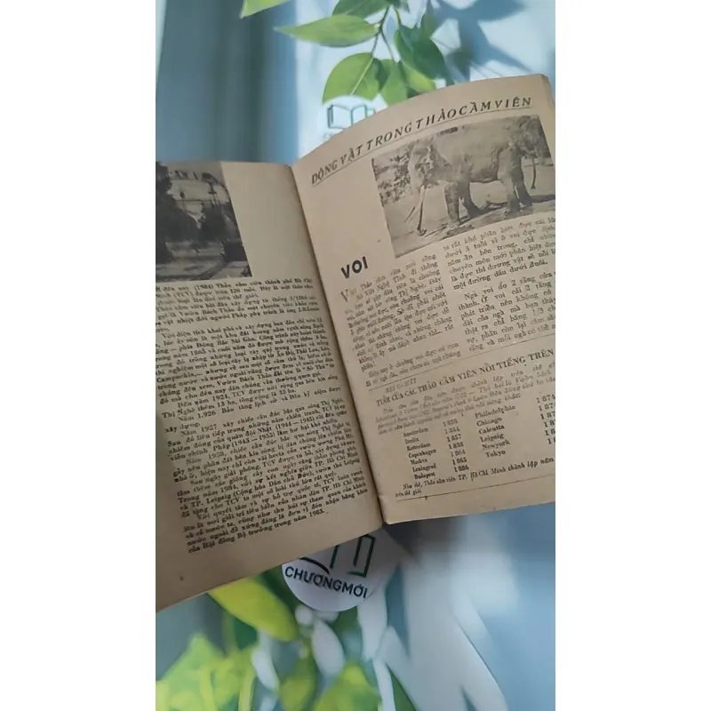 Tạp Chí Khoa Học Phổ Thông: Thảo Cầm Viên TP. Hồ Chí Minh 775989