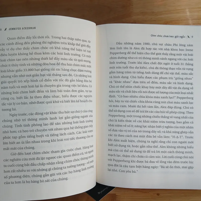 Chim Chóc Chưa Bao Giờ Ngốc - Jennifer Ackerman 739569