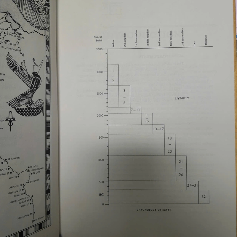 UNDERSTANDING HIEROGLYPHS -HILARY WILSON 493236