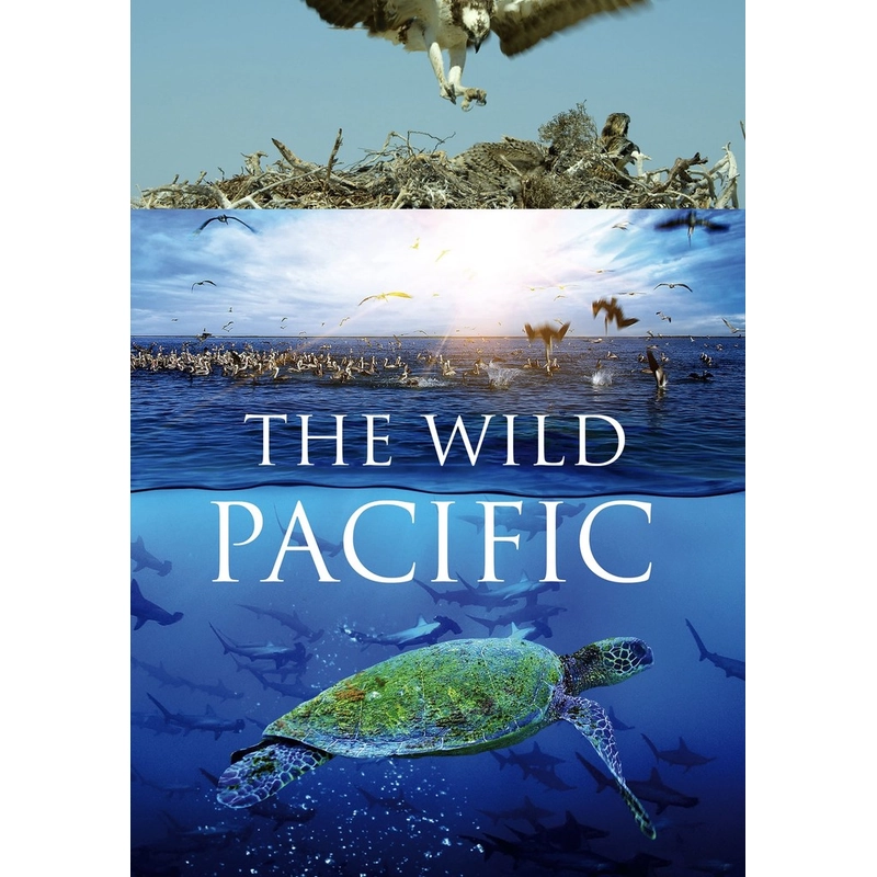 Đĩa BluRay phim tài liệu The Wild Pacific 2016 UltraHD 4K 2160p 533964