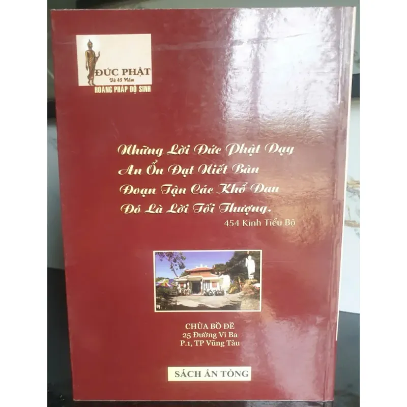 Đức Phật và 45 Năm Hoằng Pháp Độ Sinh - Tập 12 Tô Khưu Chánh Minh 756018