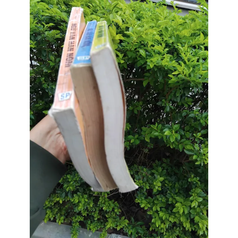 Ngữ văn Hán Nôm do Đặng Đức Siêu chủ biên 970756