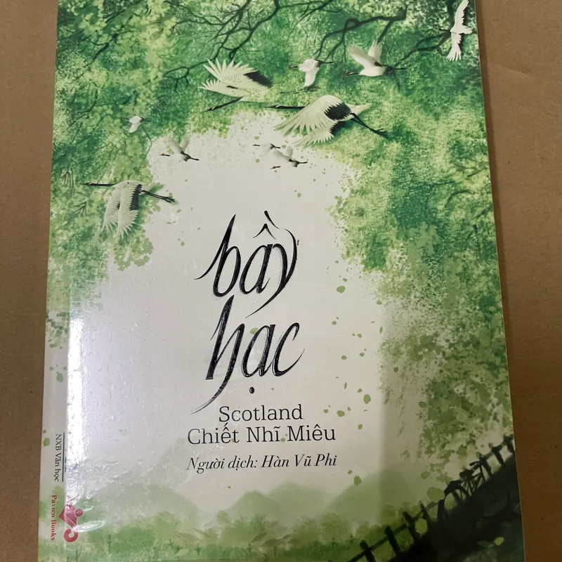 Bầy hạc - Scotland Chiết Nhĩ Miêu 562879