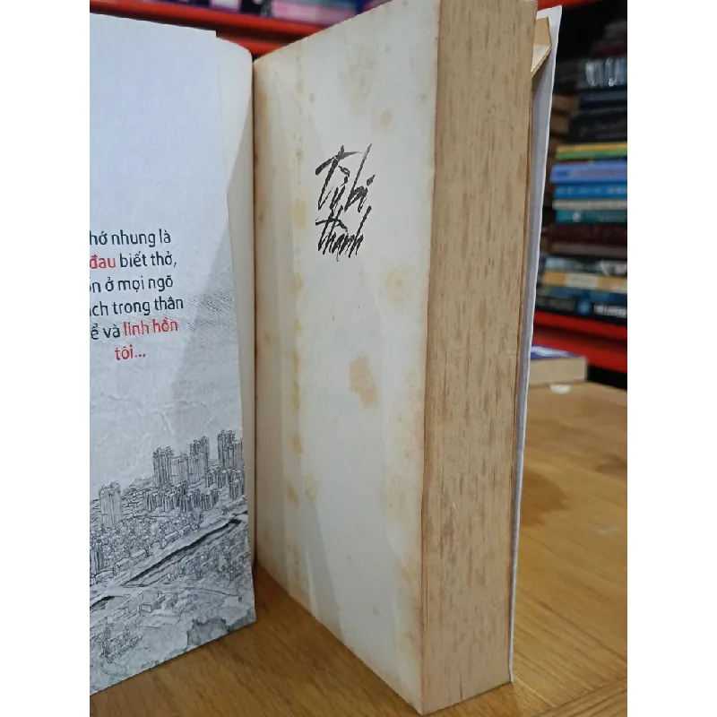 Từ bi thành - Đinh Mặc (Greenrosetq dịch) 571617