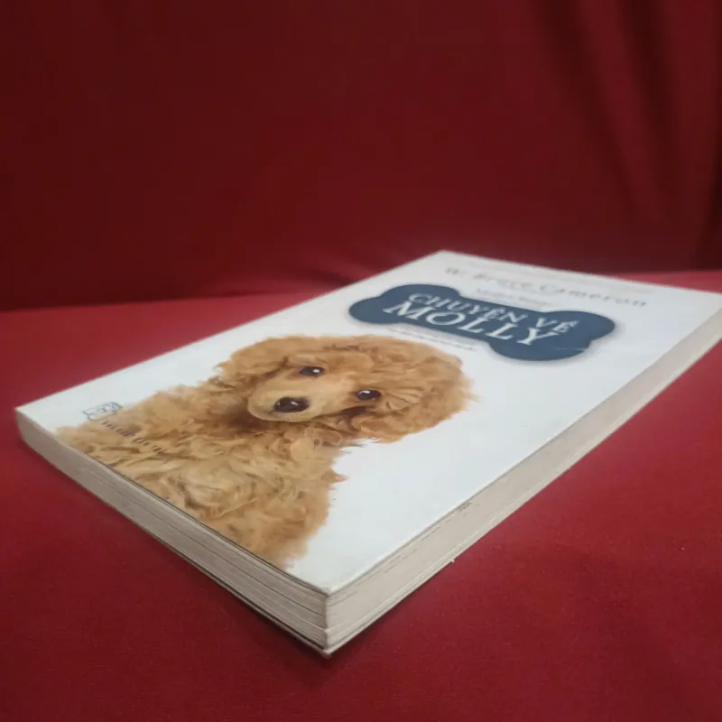 Chuyện về Molly 📚 1020688