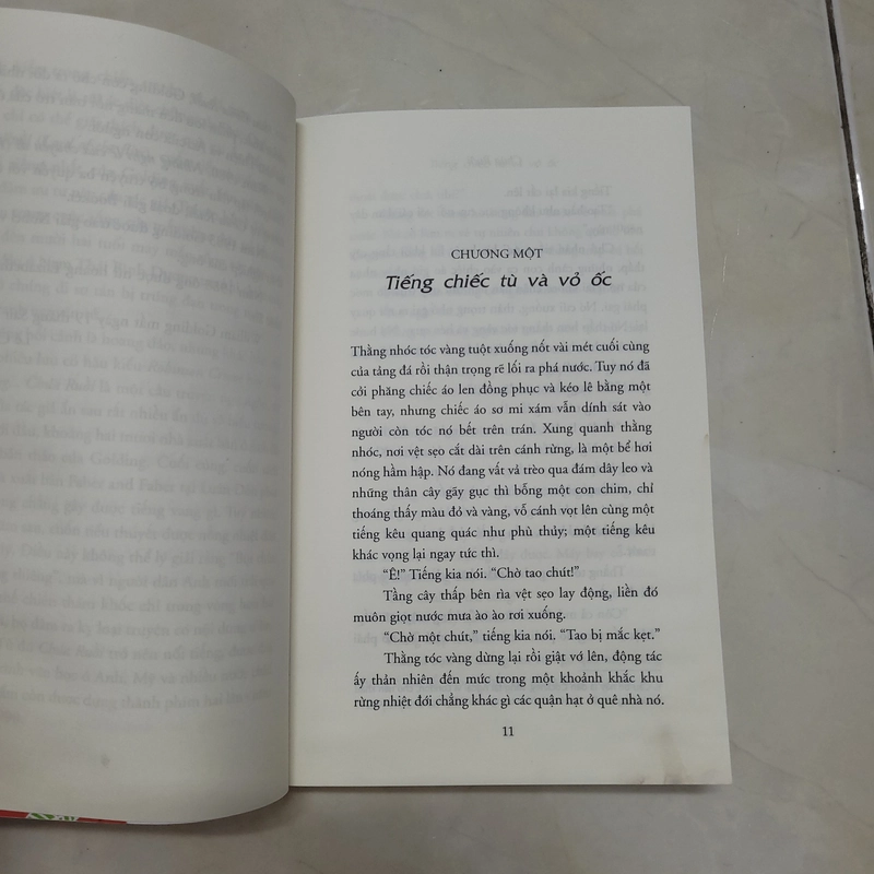 Tiểu thuyết Chúa Ruồi 453340