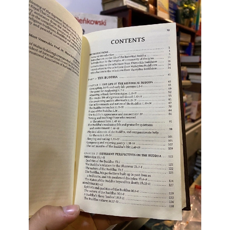 Guidance and Insight from The Buddha 752837