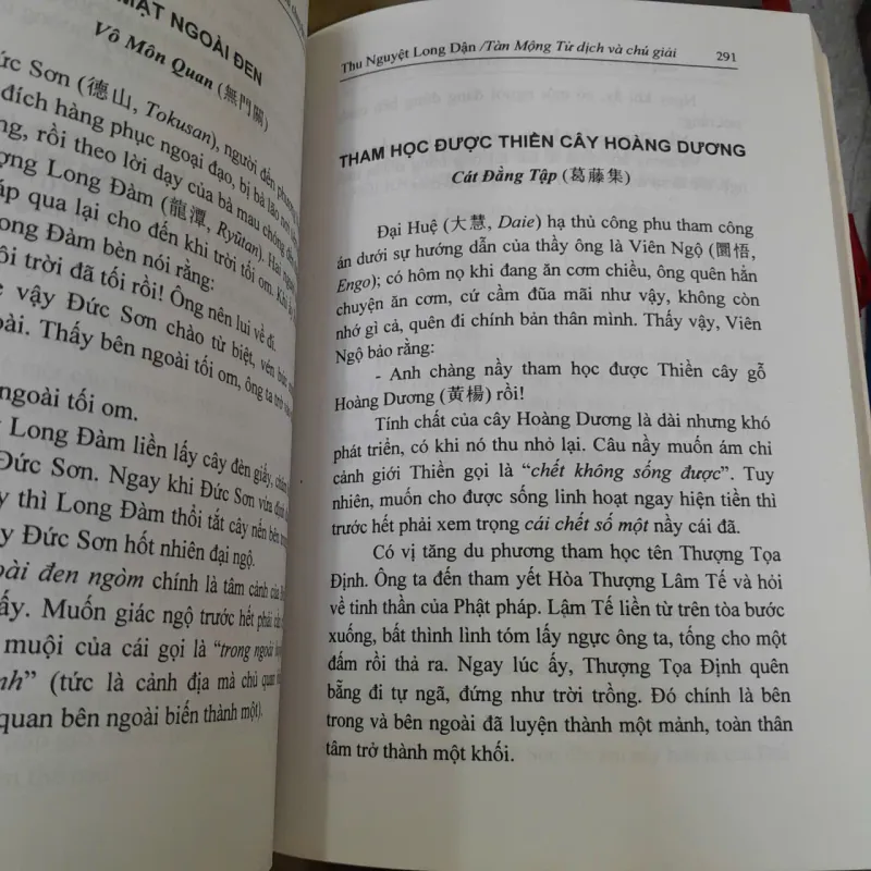 MỖI NGÀY MỘT CÂU CHUYỆN THIỀN - THU NGUYỆT LONG DẬN ( TÀN MỘNG TỬ DỊCH) 1023907