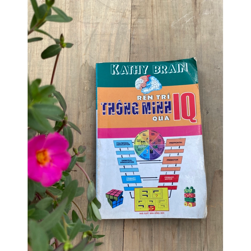 RÈN TRÍ THÔNG MINH IQ***QUÀ TẶNG CHO ĐƠN HÀNG SÁCH 549161