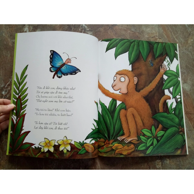 Combo 6 truyện tranh của tác giả Julia Donaldson 532460