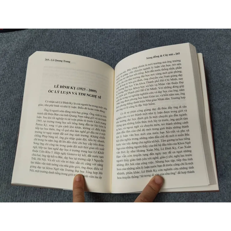 SÓNG ĐỒNG & CÂY NÚI - LÊ QUANG TRUNG 729312