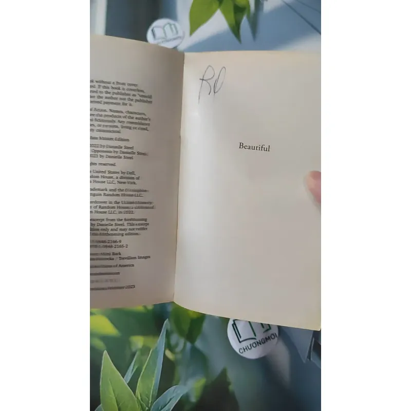 Beautiful - Danielle Steel 1027178