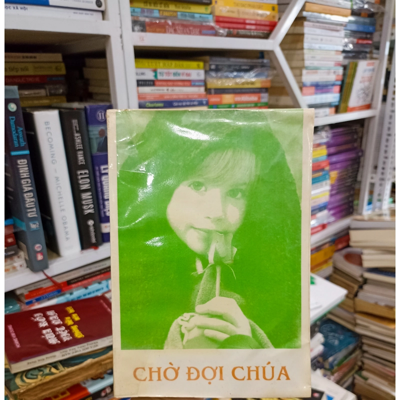 Chờ đợi Chúa 🌻 537531