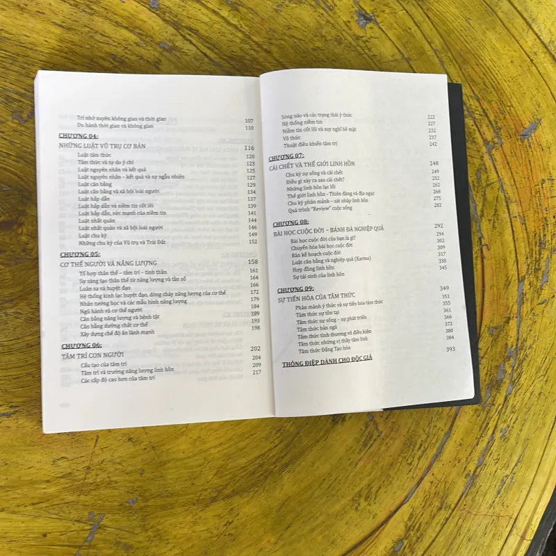 LUẬT TÂM THỨC GIẢI MÃ MA TRẬN VŨ TRỤ - NGÔ SA THẠCH  961855