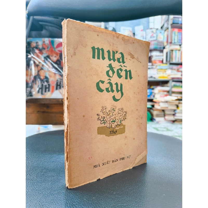 Mưa đền cây - Vũ Quân Vương (Sưu tầm) 398583