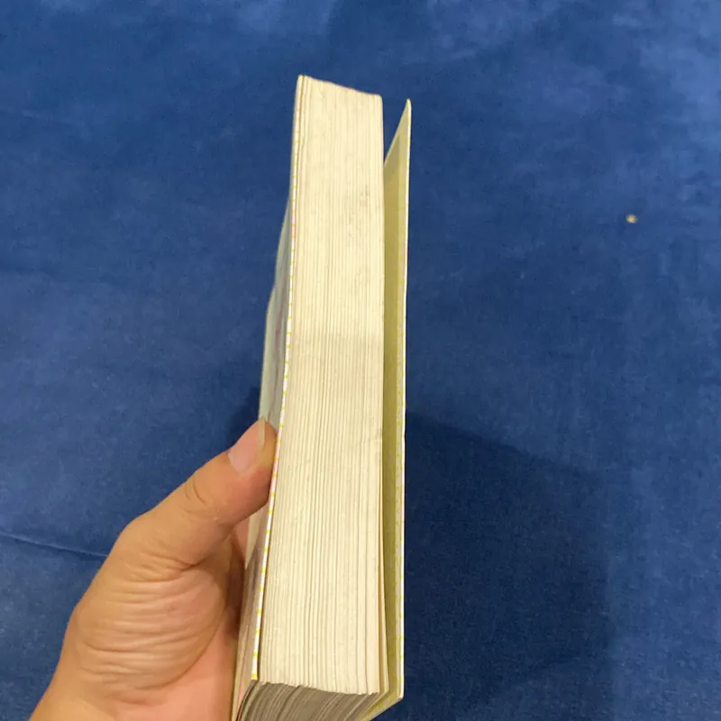 NHẬT KÝ TRONG TÙ VÀ NHỮNG LỜI BÌNH (XB 2001) 593580
