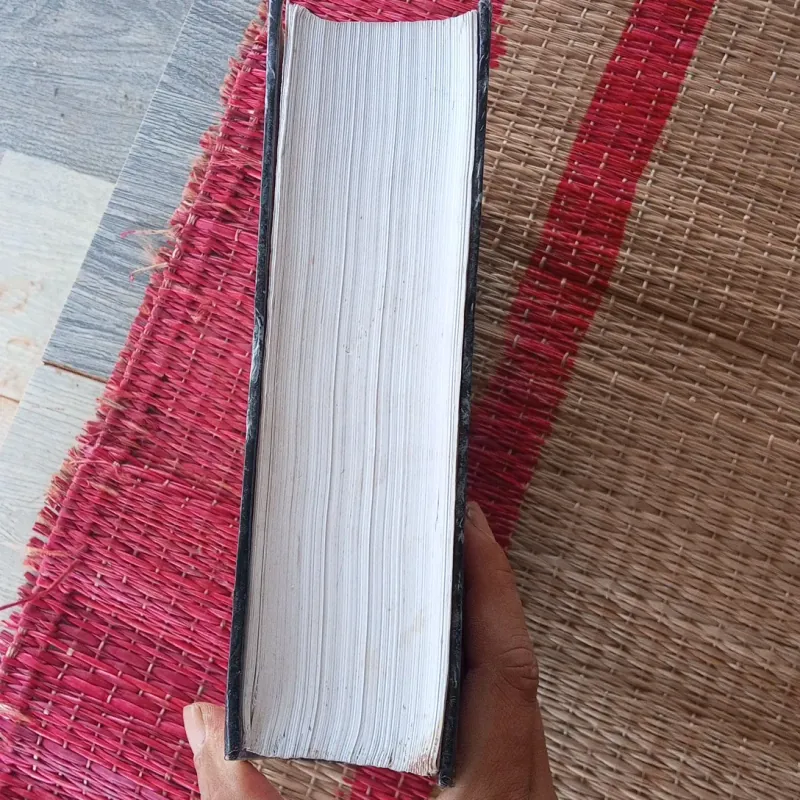 Thực trạng châu âu 957173