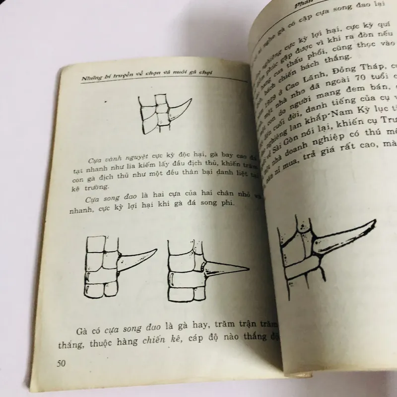 BÍ TRUYỀN VỀ CÁCH CHỌN VÀ NUÔI GÀ ĐÁ GÀ CHỌI 726867