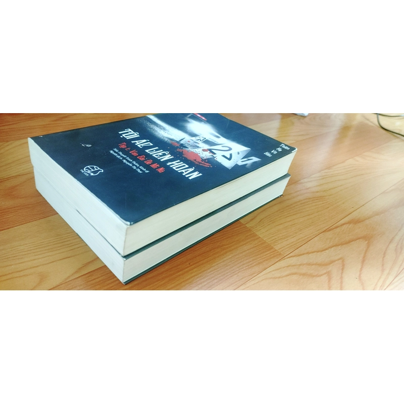 TỘI ÁC LIÊN HOÀN 506738