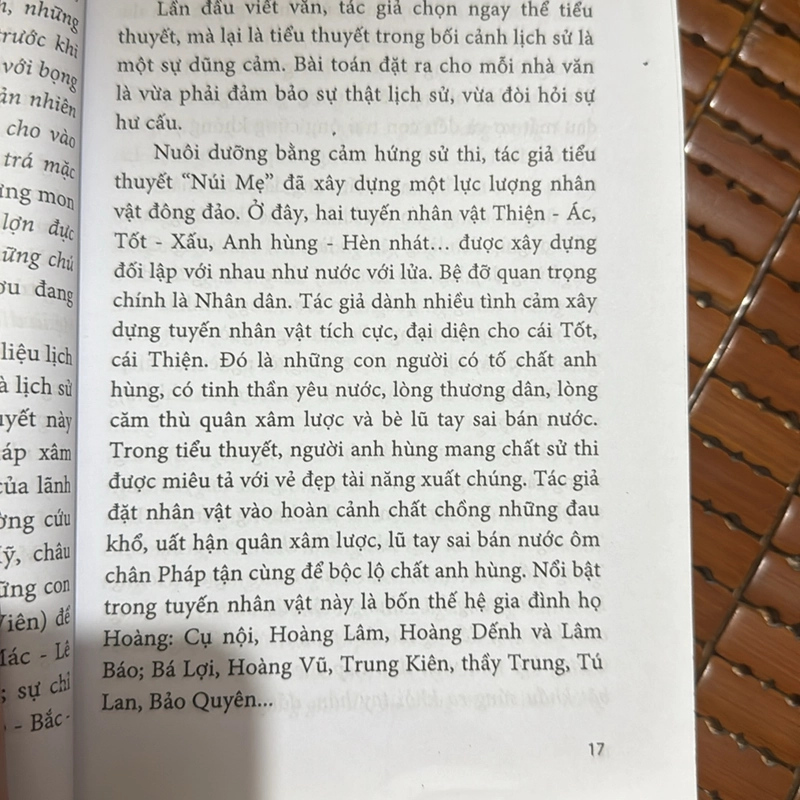 Núi mẹ - Nguyễn Đức Nguyên 517249