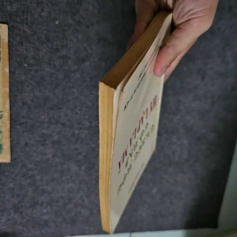 Triết học cổ đại hy lạp la mã 745509