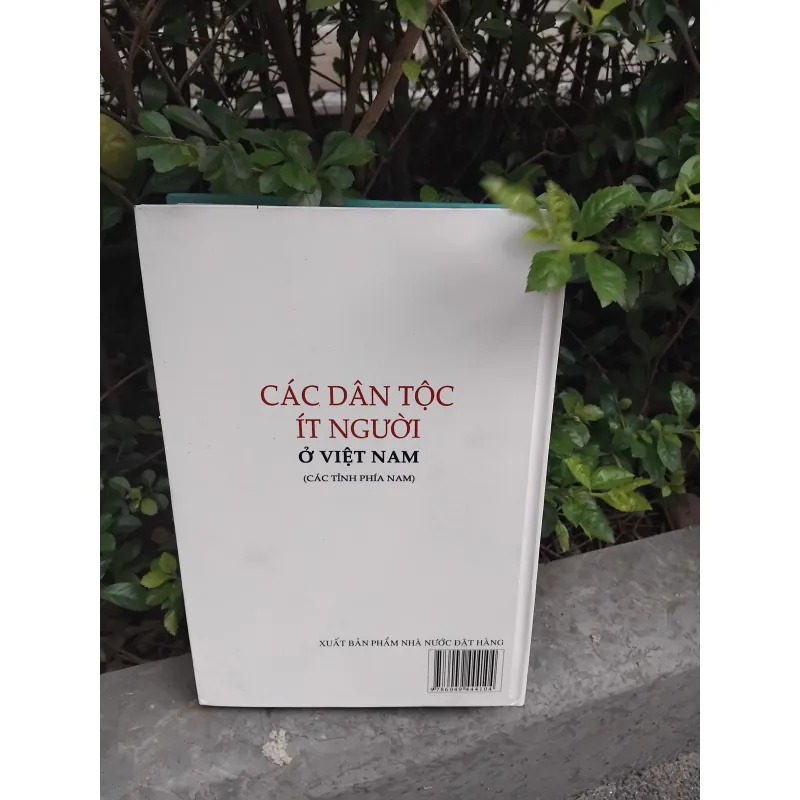 Các dân tộc ít người ở Việt Nam ( các tỉnh phía Nam )  1001906