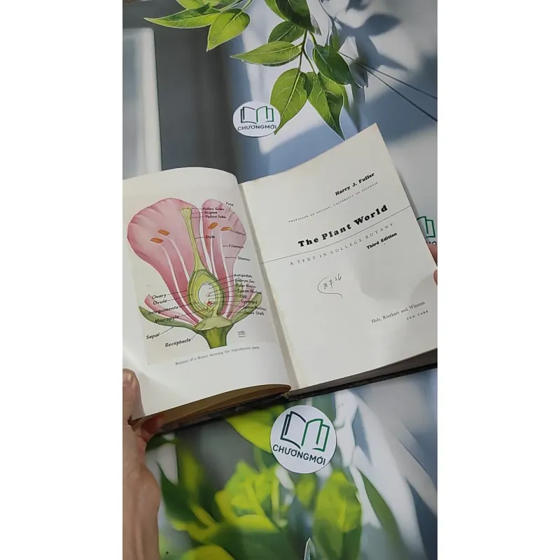 [MIỄN PHÍ BỌC SÁCH] The Plant World - Harry J. Fuller 750801
