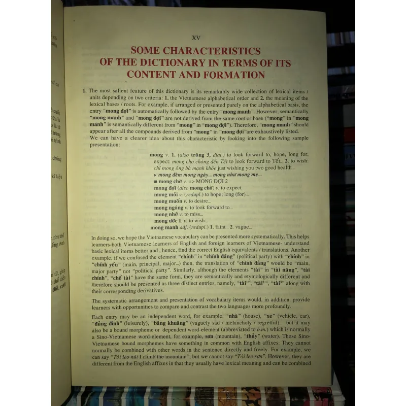 Từ điển Việt - Anh 756051