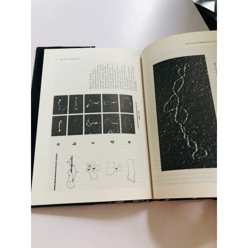 INTRODUCTORY BIOPHYSICS  - bìa cứng, 214 trang  552553