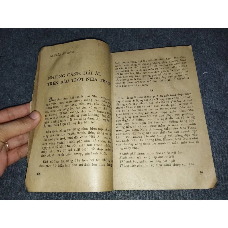 NHA TRANG MƯỜI NĂM 993116