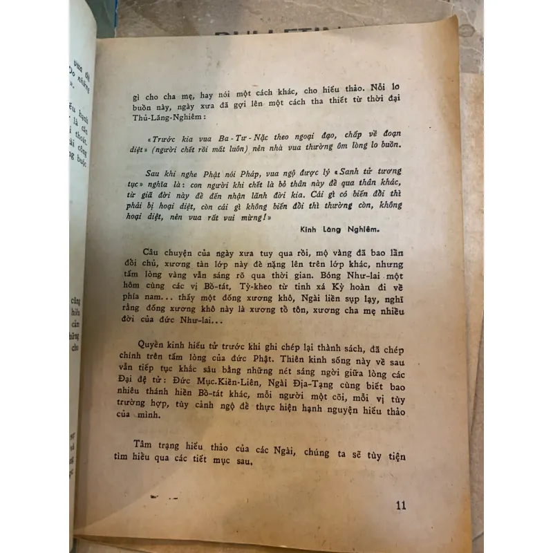 QUAN NIỆM HIẾU ĐẠO TRONG PHẬT GIÁO - PHAN XUÂN SANH 929571