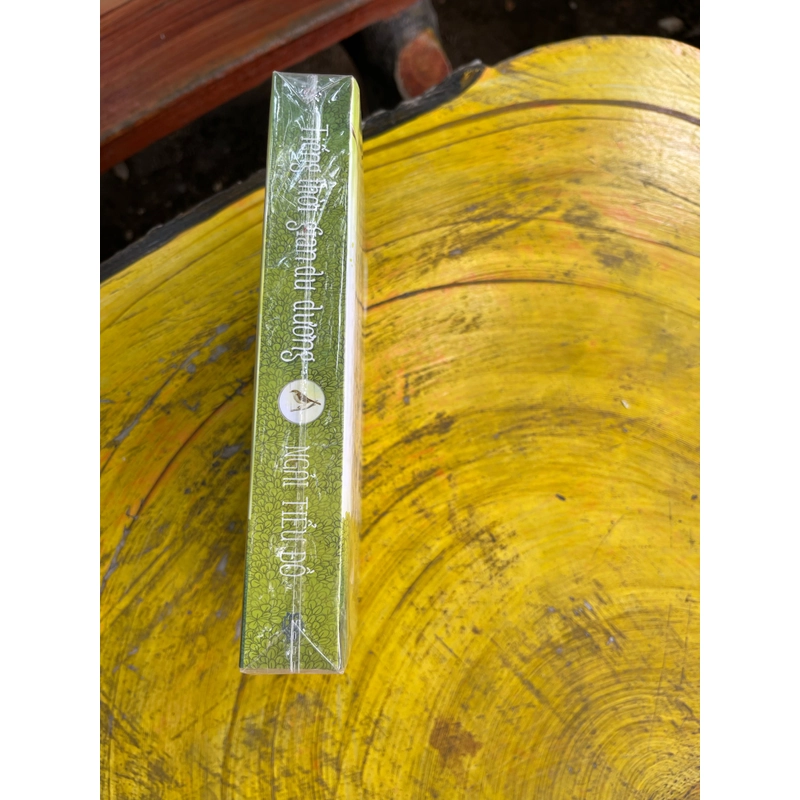 TIẾNG THỜI GIAN DU DƯƠNG- NGẢI TIỂU ĐỒ 477507