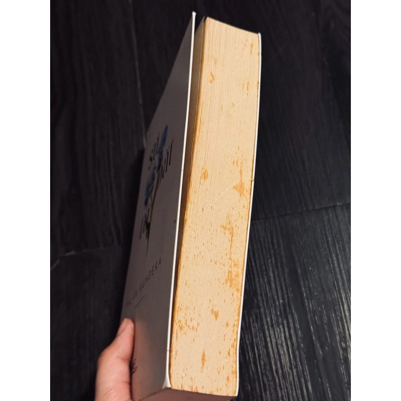 Sự bất tử - Milan Kundera (có chữ ký dịch giả) 502769