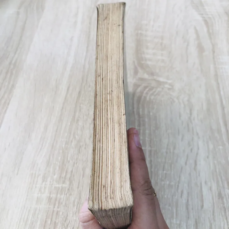 VIETNAM – Une Longue Histoire (Lịch sử Việt Nam) 971828