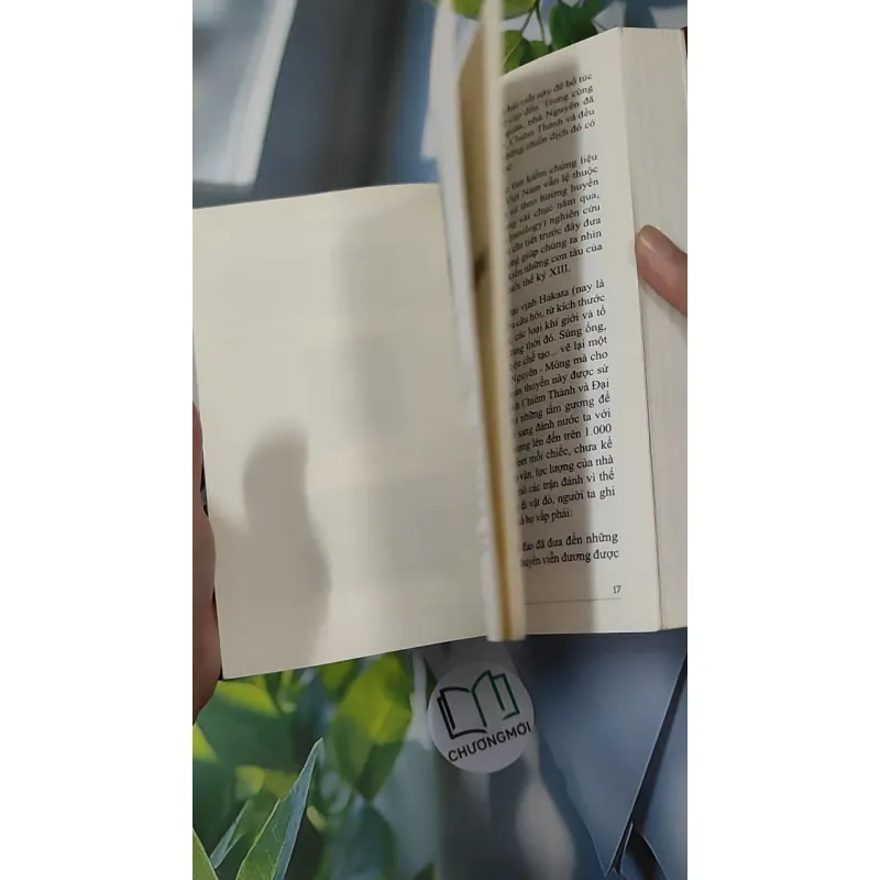 Đàng Trong Thời Chúa Nguyễn - Nguyễn Duy Chính 970274