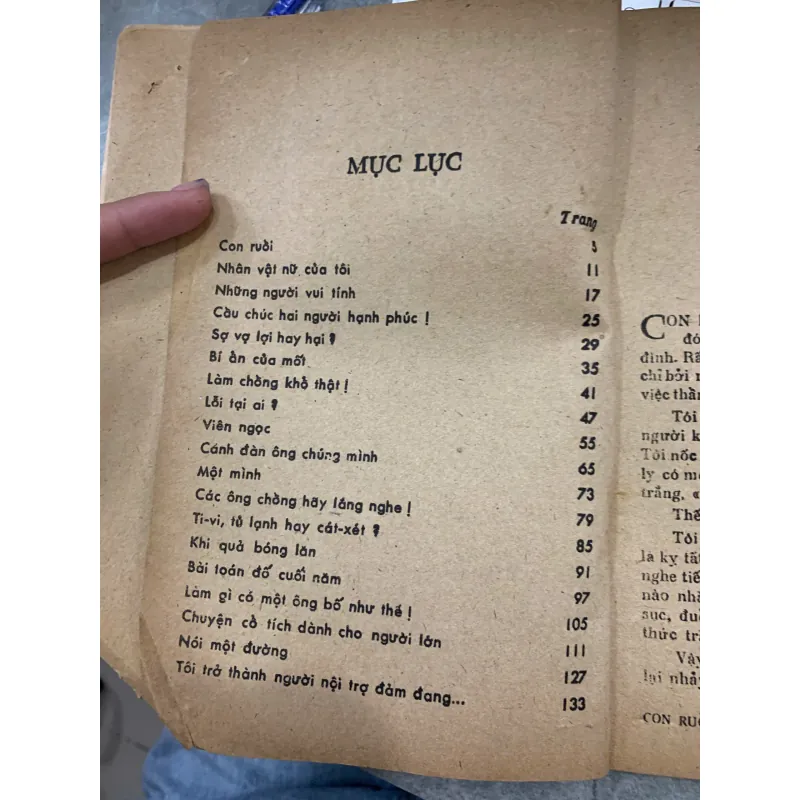 CHUYỆN CỔ TÍCH DÀNH CHO NGƯỜI LỚN - NGUYỄN NHẬT ÁNH 931358